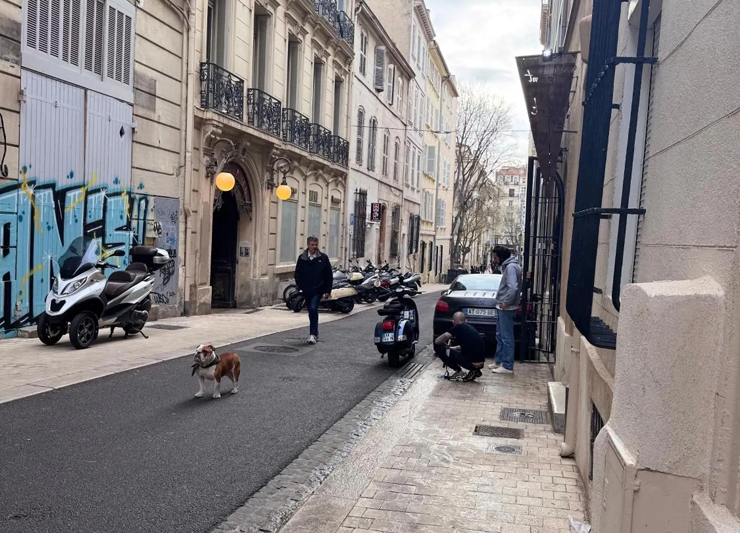 Studette Plein Centre Ville Marseille